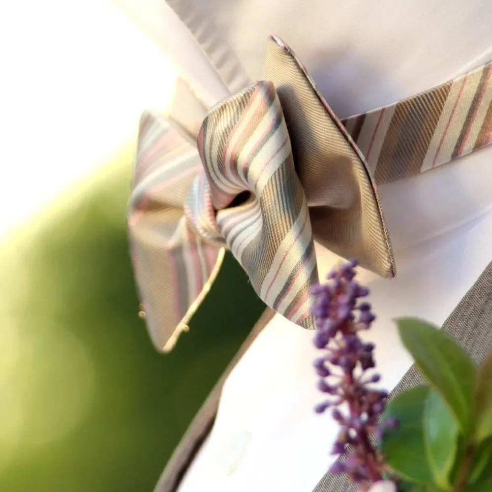 NWT Men's bow tie Silk Self-tied Gift Box S441 Christmas gift Ready‎ to ship